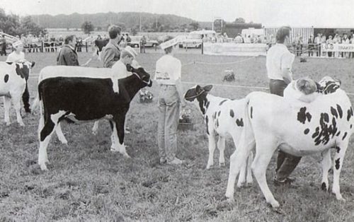 csm_historie19_ed54b9b168