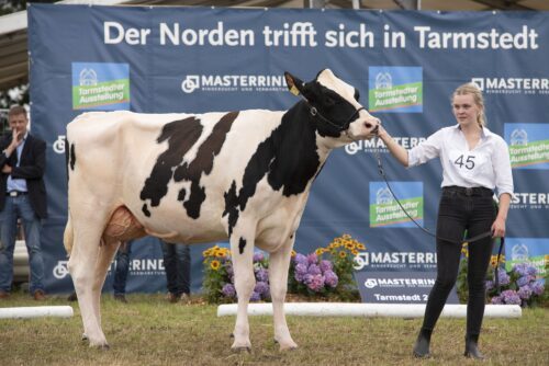 DFM_4171_Masterrind-