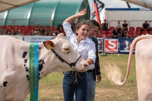 Tarmstedter Sommertierschau Holstein: Sonnige Aussichten für die Zucht
