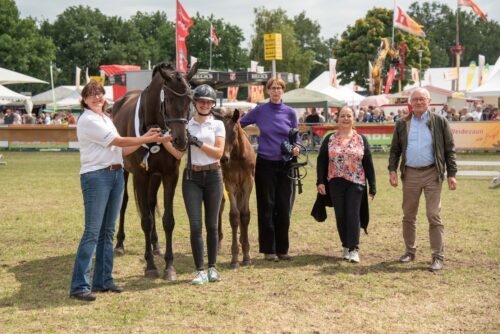 Trakehner Fohlen strahlten im Ring