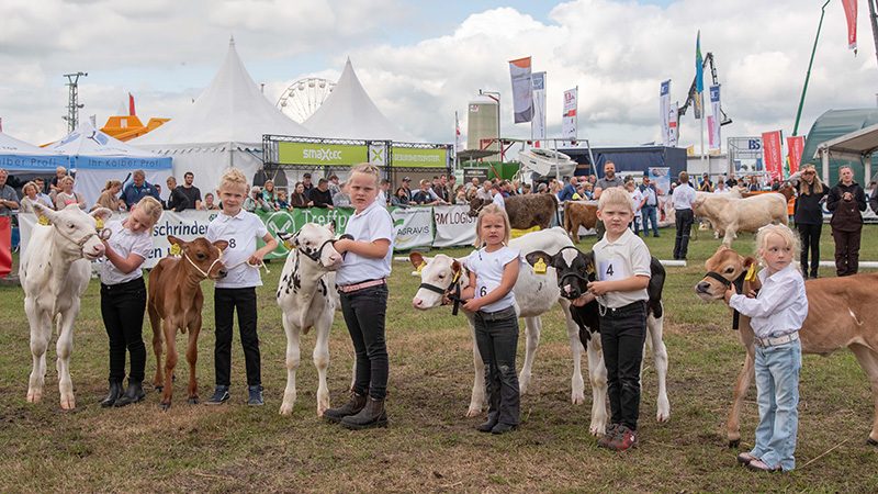 Zucht- und Showhighlights auf der Tarmstedter Ausstellung stehen Jungzüchter im Ring