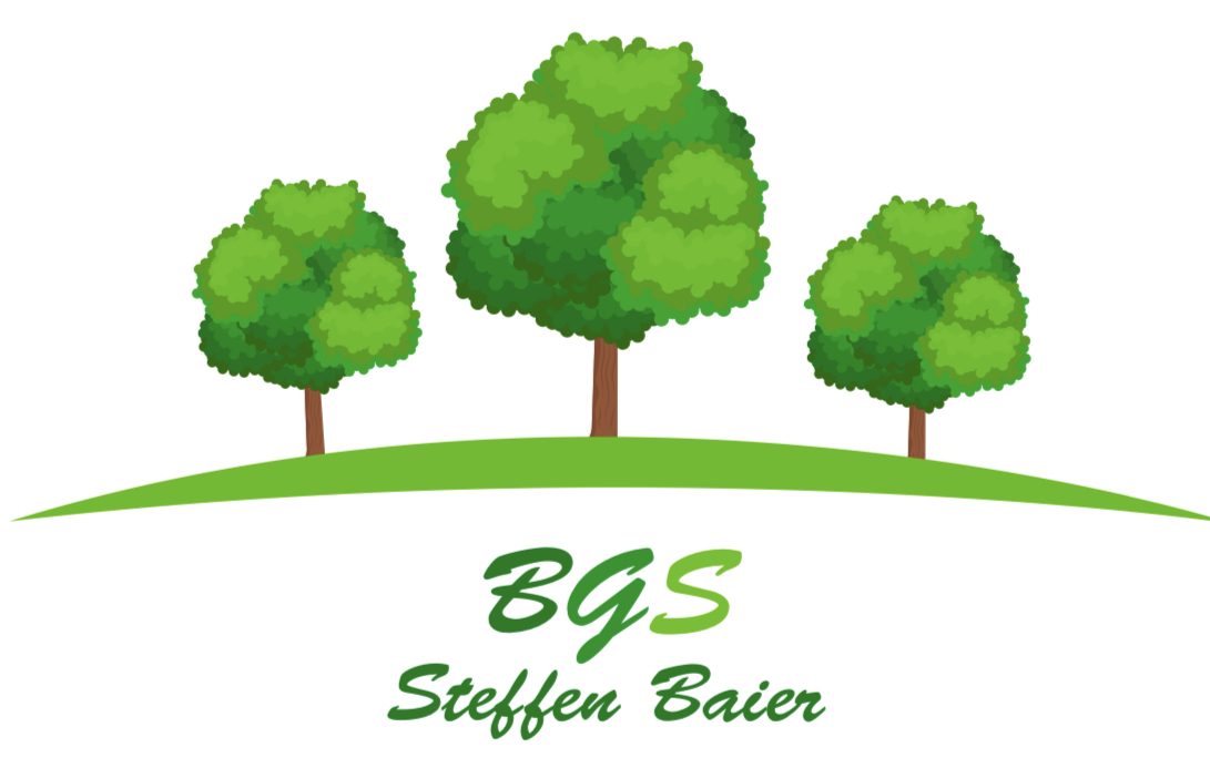 BGS Steffen Baier Logo