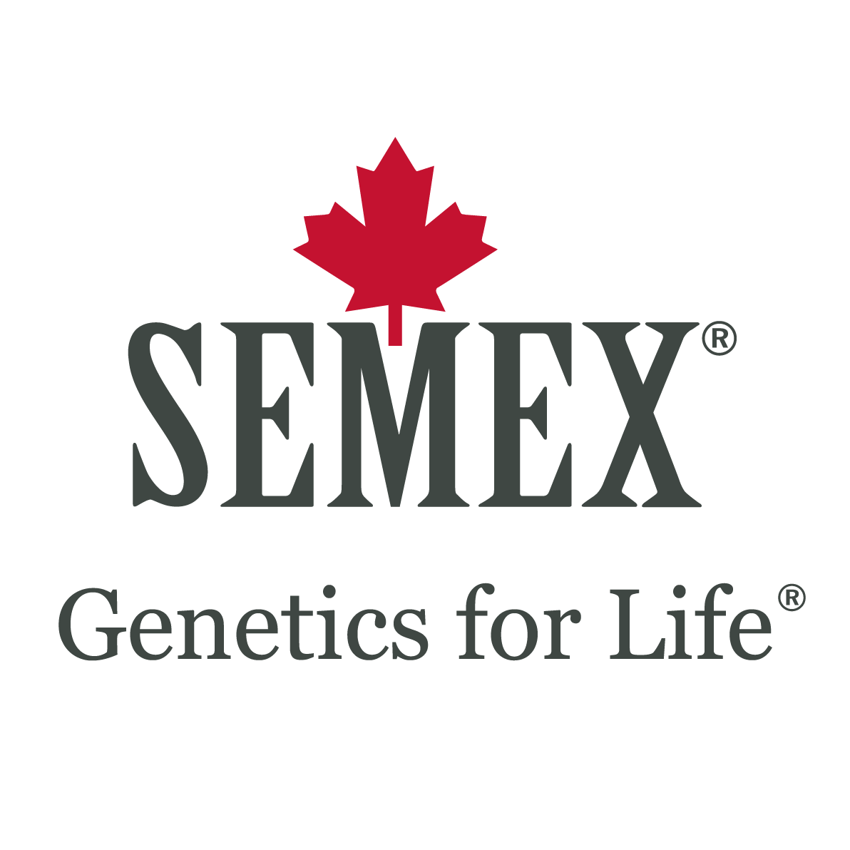 SEMEX Deutschland GmbH Logo