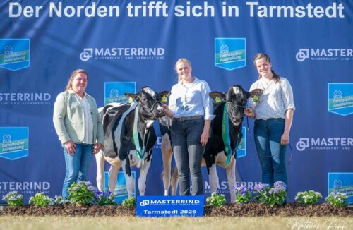 Tarmstedter-Typ-Cup